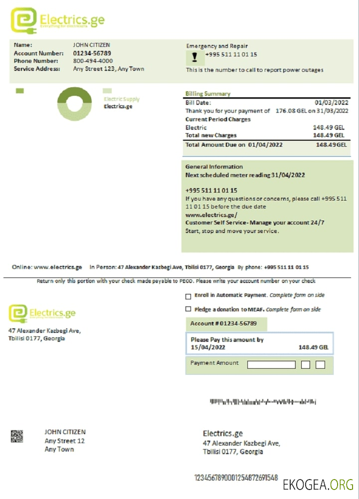 Georgia Electrics.ge electricity bill